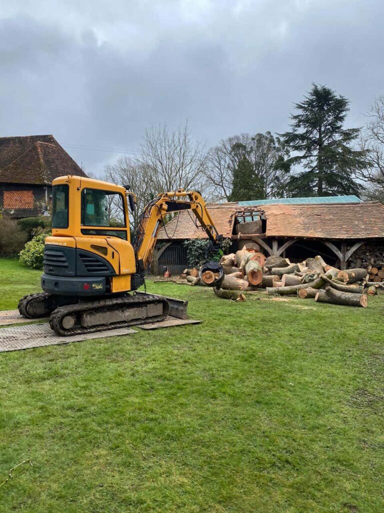 This is a photo of a tree which has grown through the roof of a barn that is being cut down and removed. There is a digger that is removing sections of the tree as well. Rushden Tree Surgeons