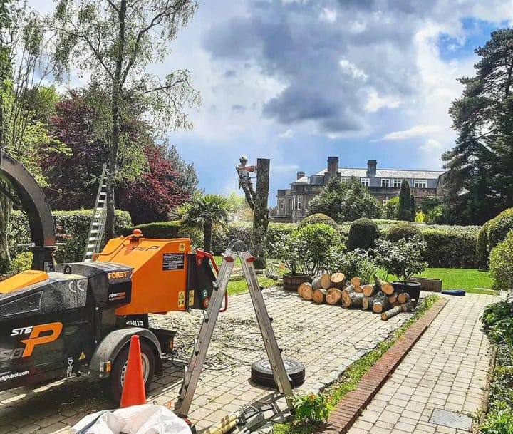 This is a photo of a tree being felled. A tree surgeon is currently removing the last section, the logs are stacked in a pile. Rushden Tree Surgeons